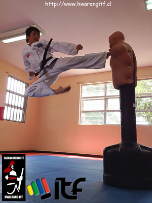 hwarang hwa rang itf taekwondo taekwon do artes marciales